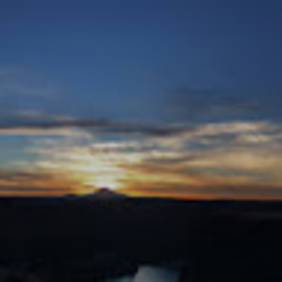 Meet your Posher, Sasha - Picture 1 of 1